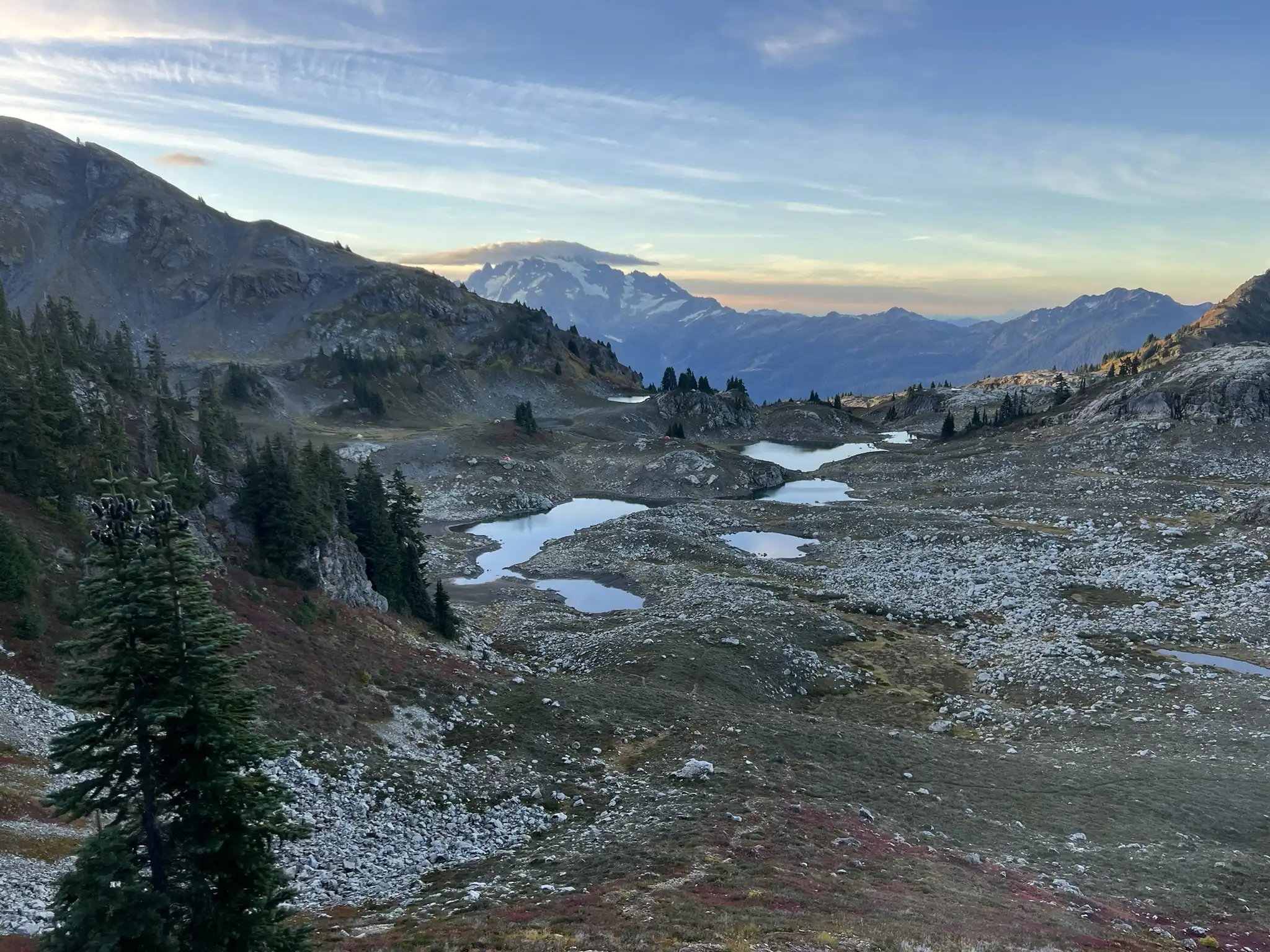 yellow aster butte lakes